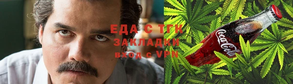 тгк Ельня