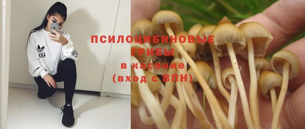 крисы Нея