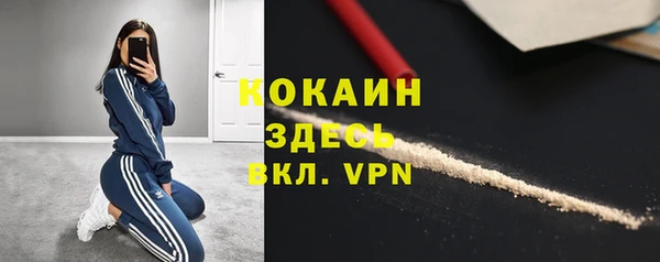 индика Новокубанск
