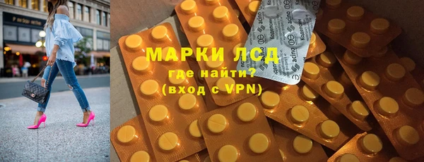 индика Новокубанск