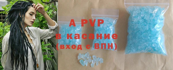 индика Новокубанск